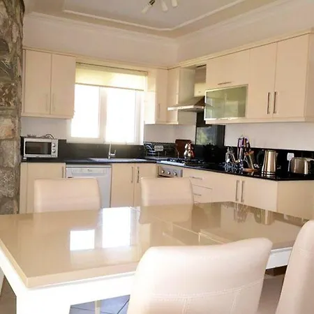 “the Ultimate Guide To Renting This Luxury Villa”-villa Elysium
